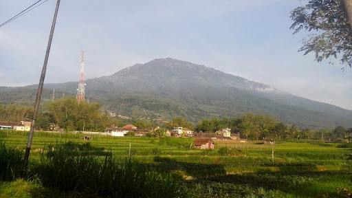 indahnya alam Gunung Lawu